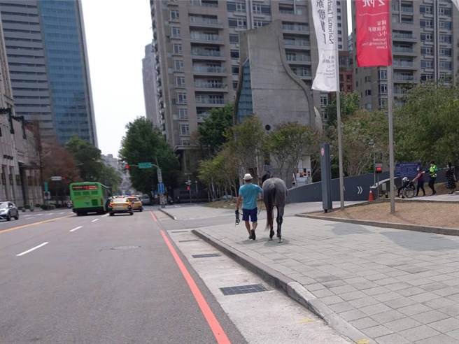 台中市建设局昨日依《台中市公园及行道树管理自治条例》不得携带动物规定，针对李姓饲主违规行为劝导，李姓饲主也在当下带马匹离开。（台中市府提供／卢金足台中传真）