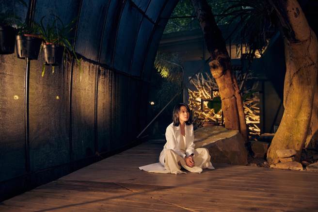 刘若英的奶式情歌陪伴歌迷走过岁月。（相信音乐提供）