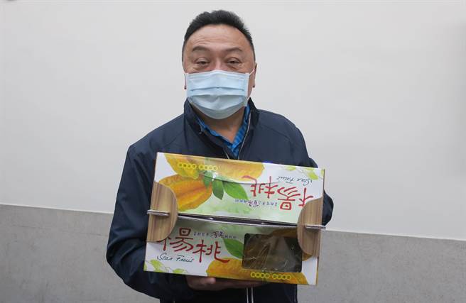 游振雄大讚百年楊桃果實個頭雖小，但肉質細嫩且香甜多汁，不像一般楊桃會有帶點澀感，吃過的人都讚不絕口。（謝瓊雲攝）