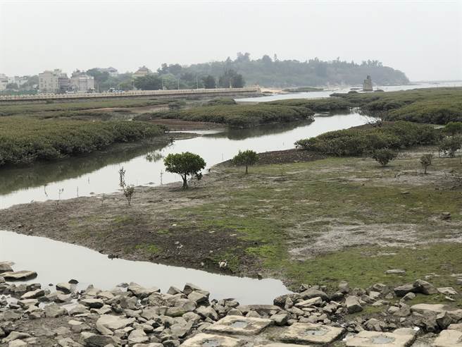 浯江溪口是金门重要的溼地，有鸟类、鱼虾贝类及鲎群栖息外，更曾有保育类水獭出现的纪录。（李金生摄）