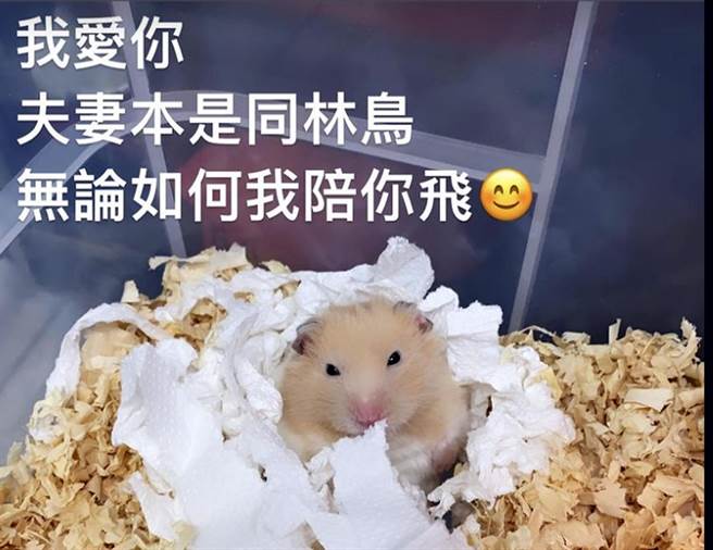 罗妻难过在社群PO文，令人鼻酸。(取自罗妻IG)