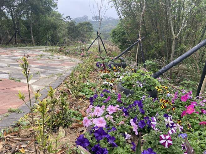 頭份市後花園步道獲經費改善環境與設備，並種有各式花草，營造繽紛花園景致。（何冠嫻攝）
