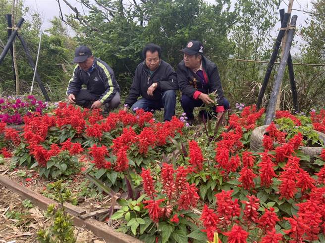頭份市後花園步道再造新亮點，種有各式花草增添綠意。（何冠嫻攝）
