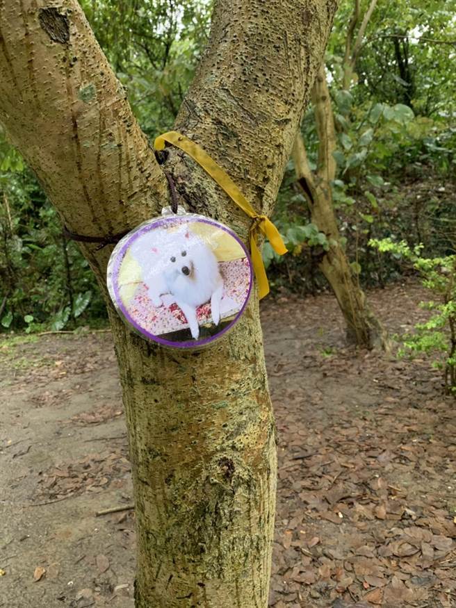 新北市政府动保处于今（22 日）在中和动物之家为往生的宠物进行环保树葬仪式，现场有6个家庭参与。（动保处提供）