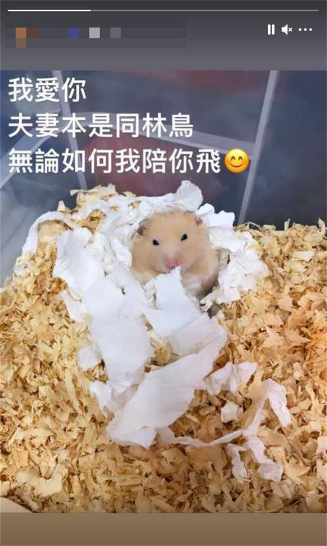 （圖／翻攝自IG）