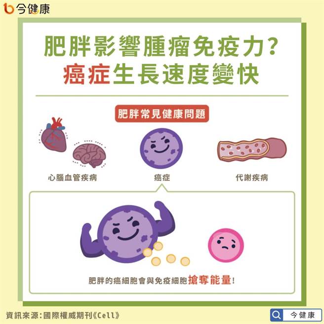 肥胖影响肿瘤免疫力？癌症生长速度变快。(图/今健康提供)