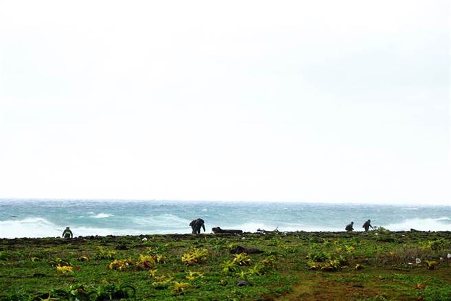 搜救人員不放棄岸際搜尋。（謝佳潾攝）
