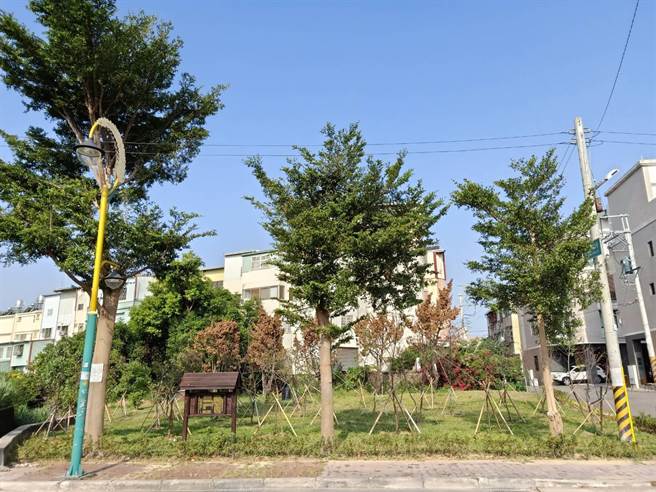 台中市府对公墓进行绿美化。（卢金足摄）