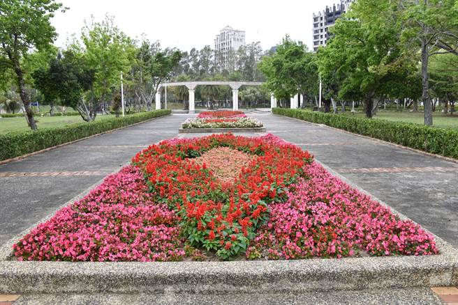 头份市公所将头份市运动公园中央走道花圃内花草全面更新，迎接春天到来。（谢明俊摄）