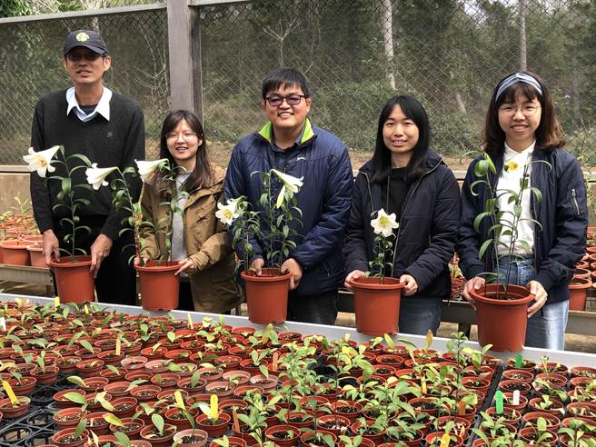 金门县林务所长钟立伟（中）与中兴大学研究团队向乡亲宣布野百合復育成功。（李金生摄）