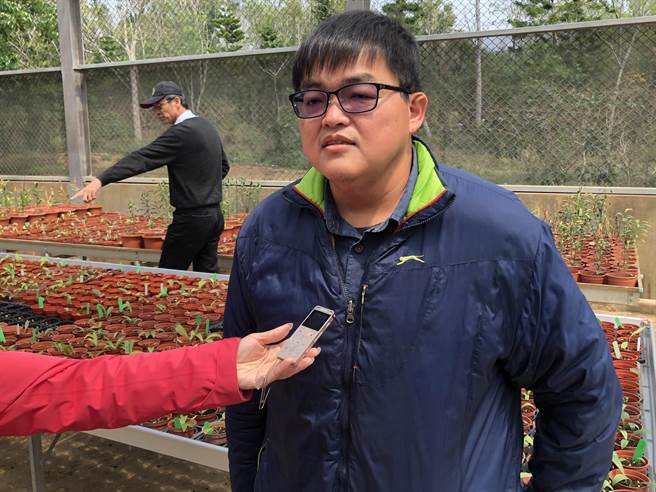 钟立伟所长指出，今年「浯百」将以完成品种权申请为目标，并透过温室与田间种植试验进行扩大育种的评估，目前已在太武山山区，以及部分公园、社区进行小规模的种植试验。（李金生摄）