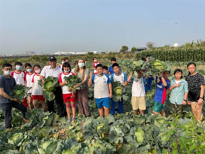 高雄小港桂林國小為了挺菜農，特別安排學生及外籍英語教師前往家長簡奶奶的高麗菜田，舉辦田野戶外教學，以「銅板價」讓學生體驗採高麗菜的樂趣，並回校製成水餃食用，學生們各個玩得不亦樂乎。（高市桂林國小提供／洪浩軒高雄傳真）