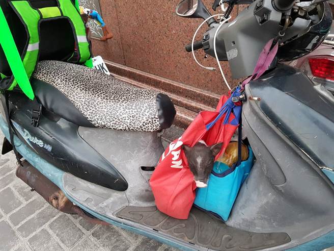 一位外送员更表示，他还遇过把「小猪」当作小费的奇葩客人。(摘自外送员的奇闻怪事)