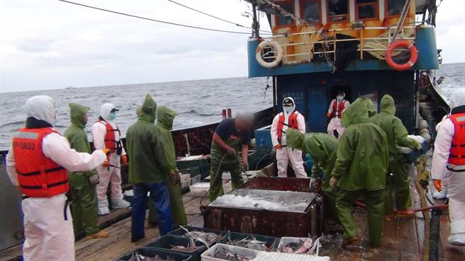 海巡署舰队分署基隆海巡队23日接获通报，大陆渔船「闽晋渔05369」越界，进入彭佳屿海域。（海巡署提供／陈彩玲基隆传真）