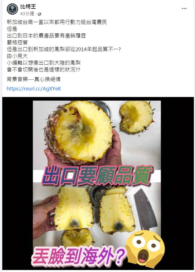 台湾凤梨外销新加坡，遭指品质不稳定，切开发现「黑心」。（图／摘自比特王脸书）