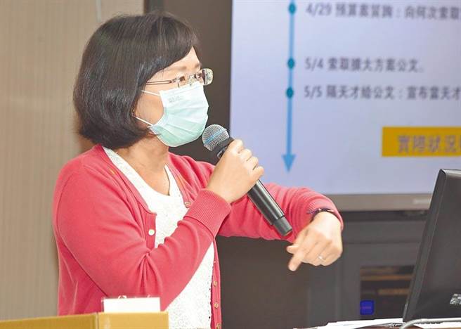 民进党立委苏巧慧。（报系资料照）