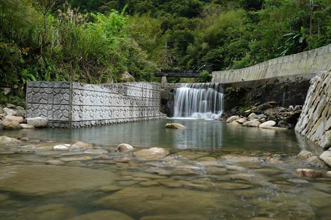 鱼梯施工后，有效吸引鱼类进入鱼道。（新北市农业局提供）