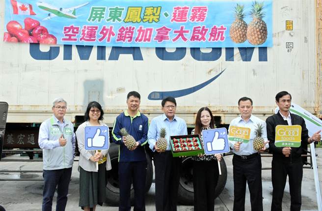 加拿大華僑急敲碗，屏東鳳梨與蓮霧24日封櫃啟航，將以空運方式送達。（林和生攝）