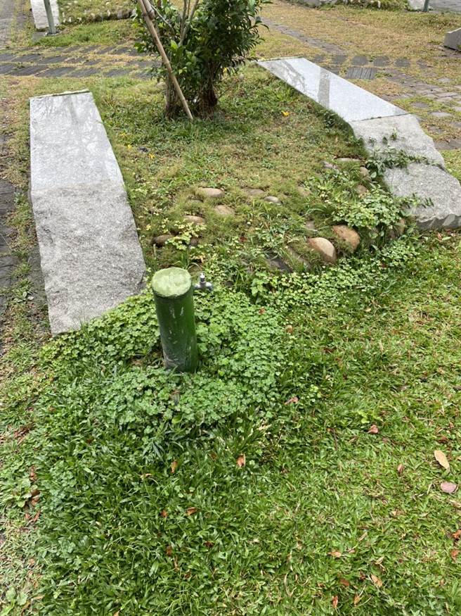 台中市公園、園道及綠地已禁止使用自來水澆灌。（台中市政府提供／陳世宗台中傳真）