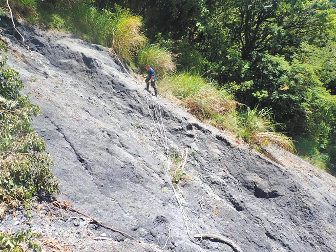 屏风山标高3250公尺，为百岳之一，但登山口至铁线吊桥段路线陡峭，登山事故意外高。（太管处提供／王志伟花莲传真）