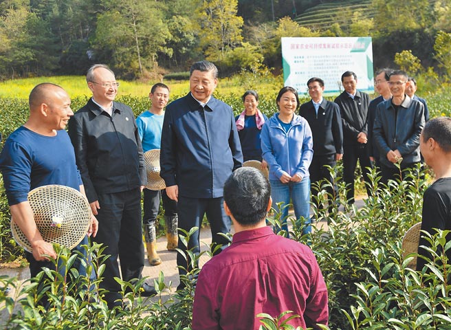中共总书记习近平22日赴福建考察，在南平市生态茶园了解茶产业发展情况。（新华社）