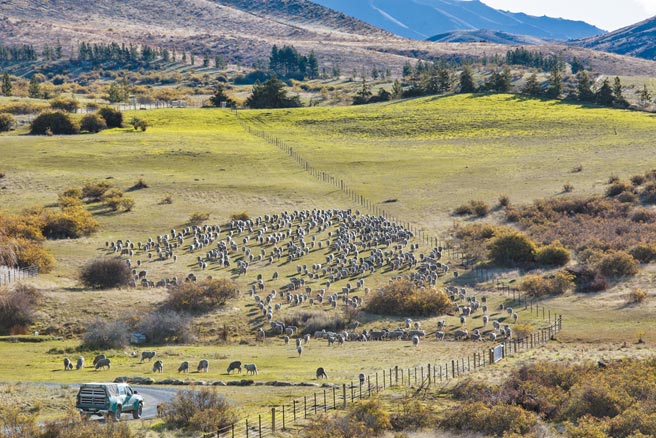 承责系列採用义大利羊毛纺织厂REDA生产之可溯源羊毛。（BOSS提供）