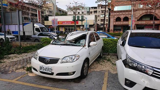 台电公司20年老树木倒塌 砸毁芦洲停车场3汽车（民眾提供／戴上容新北传真）