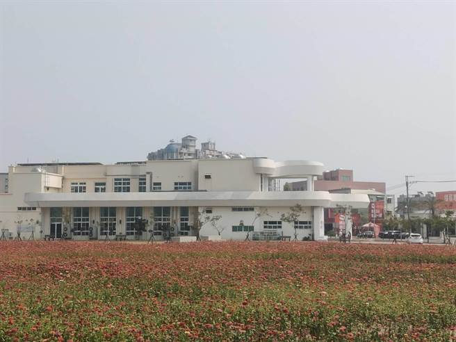 台南市新市區公所三里活動中心旁花海盛開。（劉秀芬攝）