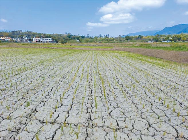 乾枯逾月魚死蜆滅富興溼地生態浩劫- 地方新聞- 中國時報