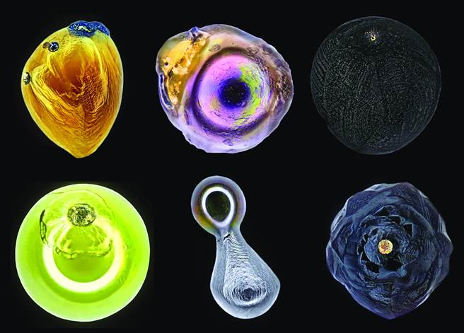 追星的人。(图/读者杂志提供)