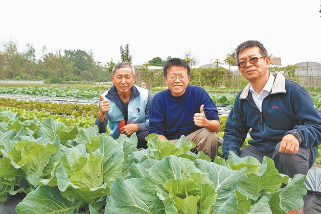 莺歌7年级生秦玮恩（中）去年返乡接手父母农园，一开始先跟着父亲秦有文（左）做出学，后摸索出自己栽种的小撇步，更抢攻网路市场，从双北到桃园都可吃到秦家园有机蔬菜。（新北市农业局提供／许哲瑗新北传真）