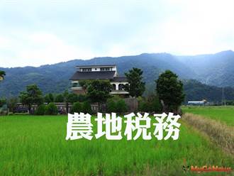 法拍農地如供農用，期限內申請不課徵土增稅