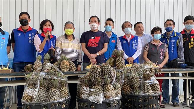 前總統馬英九今天下午到關廟跟鳳梨農座談，了解鳳梨農面臨的問題。(曹婷婷攝)