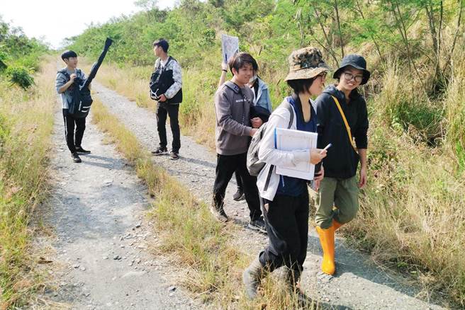 荒野保護協會台東分會今天號召民眾進行環頸雉調查。（荒野提供）