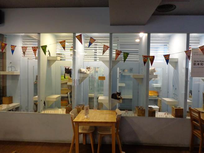 新北市政府动保处近期召募友善宠物店家预计100间以上，包含民间餐饮、游乐地点、公共场所、交通设施等业者。（动保处提供）