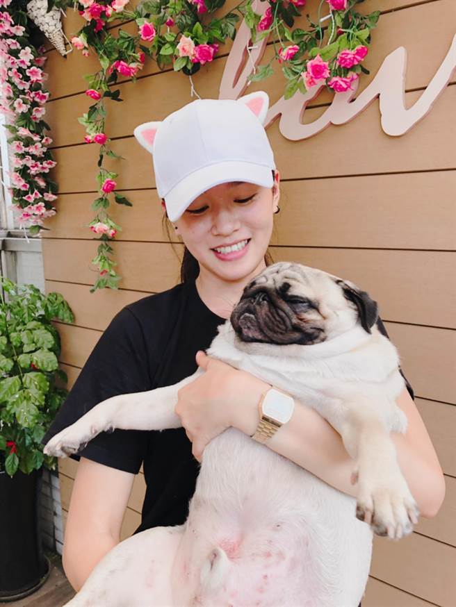 新北市政府动保处近期召募友善宠物店家预计100间以上，包含民间餐饮、游乐地点、公共场所、交通设施等业者。（动保处提供）