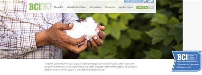 針對新疆棉花議題，大陸國關學者認為，未來可將BCI納入制裁名單。（BCI官網截圖）