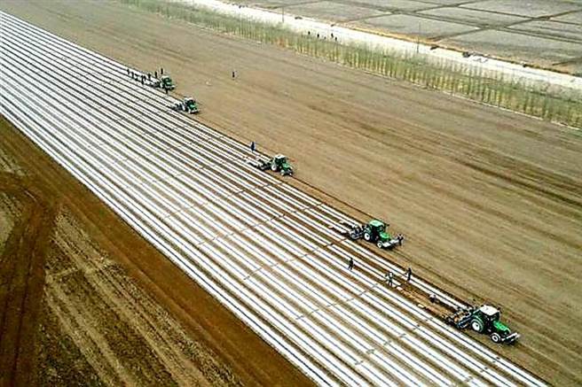 臨近清明，新疆的棉花機械化春播在北斗衛星的引導下，從南往北陸續推進。（人民網）