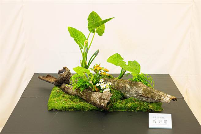 日本小原流高雄支部40周年「春之奏鸣曲」插花艺术展，27至29日在高雄新光三越三多店12楼展出。（袁庭尧摄）