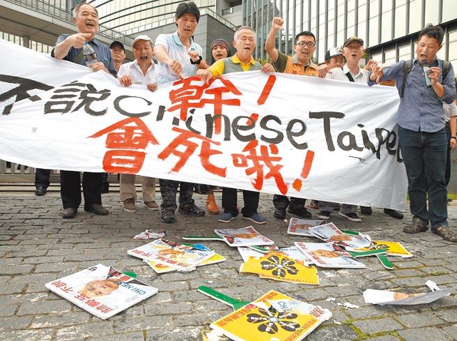 2016年WHA对台湾称呼「Chinese Taipei」引发各界不满，台湾国等团体前往抗议，要求蔡英文总统解除时任卫福部长林奏延职务。（本报资料照片）