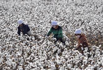 時尚企業抵制新疆棉花 郭正亮指有些品牌曾被質疑雇用童工