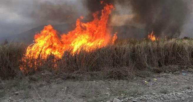 振兴堤防旁的杂草起火，火势一度窜高，情况一度危急。（图／读者提供）