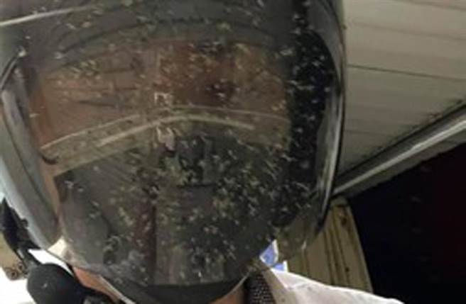 机车骑士遭遇「蚊子恐攻」。（照片来源：翻摄脸书爆废公社）