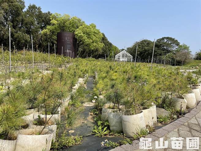 農業局擔憂龜山苗圃設備被破壞、苗木遭竊，將待引入保全後逐步開放。（市府提供／蔡依珍桃園傳真）
