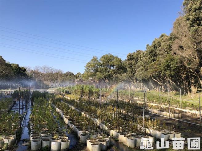 農業局擔憂龜山苗圃設備被破壞、苗木遭竊，將待引入保全後逐步開放。（市府提供／蔡依珍桃園傳真）