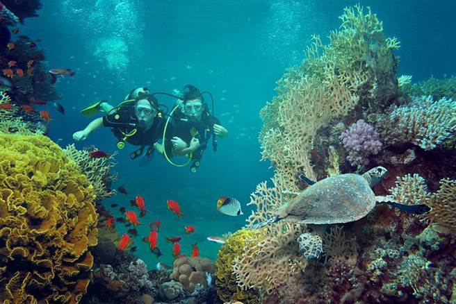 帛琉泡泡成形，遠傳29日宣布推出漫遊早鳥優惠，4月1日起跟著首發團出發，帛琉漫遊優惠1GB 399元。（圖／遠傳提供）