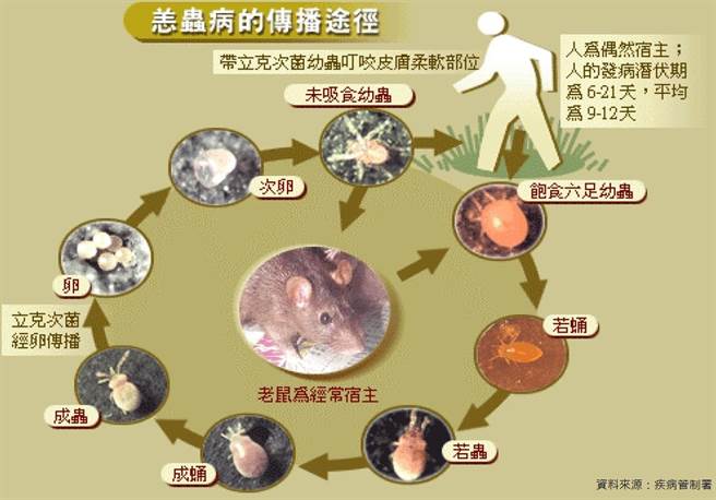 桃園市衛生局呼籲民眾出入郊區、山區時應注意防護。（桃園市衛生局提供）