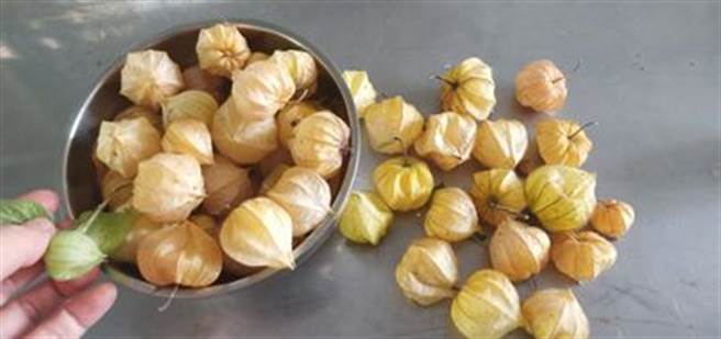 网友分享自己家种的黄金莓。(翻摄自 我爱全联-好物老实説)