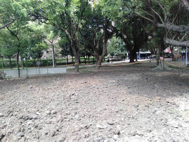 葉元之要求土方遷移後儘速復原，還給民眾休憩空間。（葉元之服務處提供）