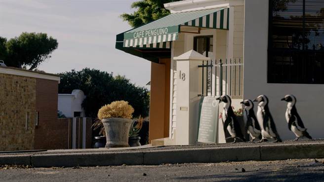 Apple TV＋推出纪录片特辑《这一年，地球变得不一样》。（Apple提供）